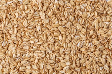 Yuvarlak yulaf, yulaf ezmesi arka plan veya doku. Yaklaş, tam üstte. Kuru yulaf yığını izole edilmiş..