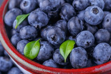 Taze yaban mersini arkaplanı. Yaban mersini dokusunu kapat yabanmersini antioksidan Organik Dengeli Kâse Sağlıklı Beslenme