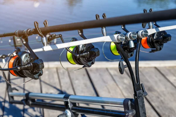 Karpfenangeln See Karpfenangeln See Der Karpfen Cyprinus Carpio — Stockfoto