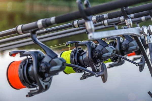 Karpfenangeln See Karpfenangeln See Der Karpfen Cyprinus Carpio Angelruten Mit — Stockfoto