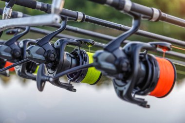 Sazan oltaları. Laklarda balık avı. Balık avlama. Genel Sazan (Cyprinus Carpio). Farklı boylarda olta kamışı..