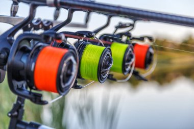 Sazan oltaları. Laklarda balık avı. Balık avlama. Genel Sazan (Cyprinus Carpio). Farklı boylarda olta kamışı..