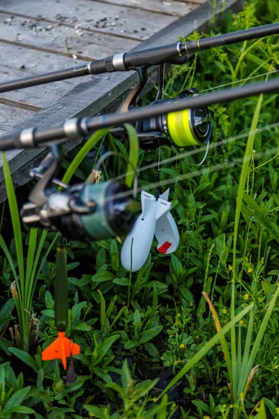 Rybolov Prutů Carpfishing Session Lake Catching Fish Kapr Obecný Cyprinus — Stock fotografie