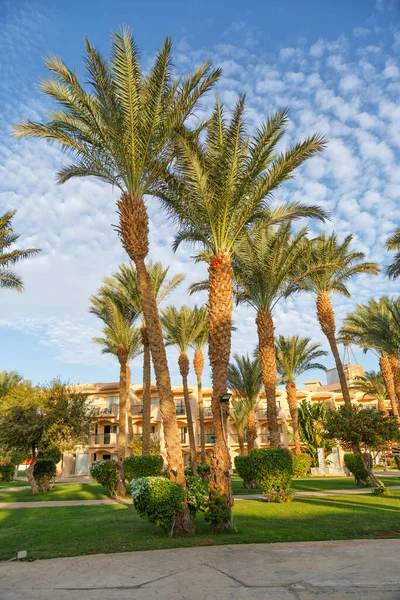 Oktober 2021 Hurghada Ägypten Schwimmbad Und Unterkunft Tropischen Resort Gebäude — Stockfoto