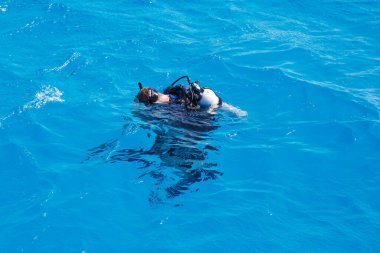 24 Ekim 2021 Hurghada, Mısır dalış sporu