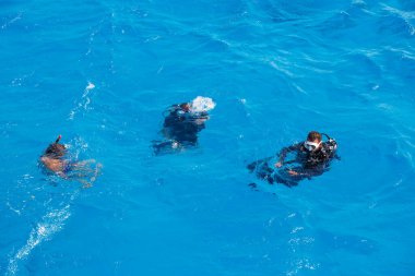 24 Ekim 2021 Hurghada, Mısır dalış sporu