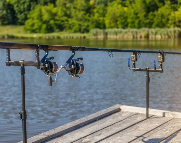 Karpfenangeln See Karpfenangeln See Der Karpfen Cyprinus Carpio — Stockfoto