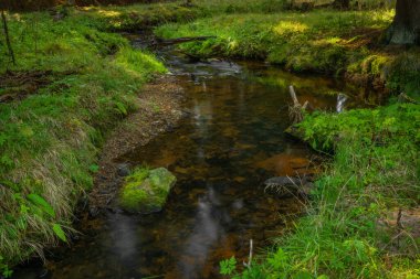 Sonbaharda Sumava Milli Parkı 'nda Tetrivci Deresi