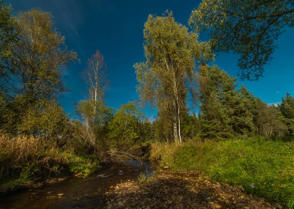Blanice Fluss Mit Grünen Bäumen Herbst Sonnigen Farbtag — Stockfoto