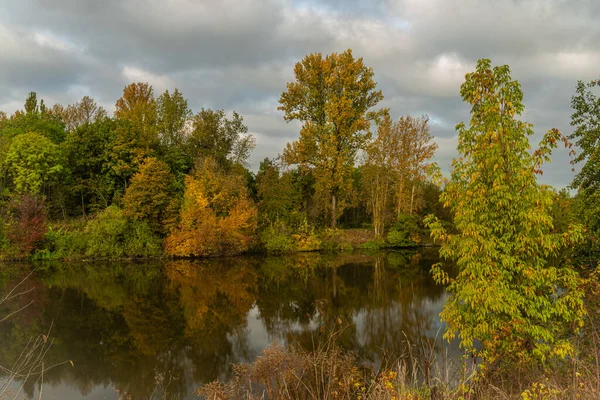 Река Лабе Возле Центрального Города Колин Осенним Цветом Утром После — стоковое фото