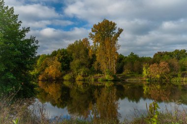 Bohemya 'nın orta kesimindeki Nehir Laboratuvarı. Sonbahar sabahı yağmurlu bir geceden sonra Kolin.