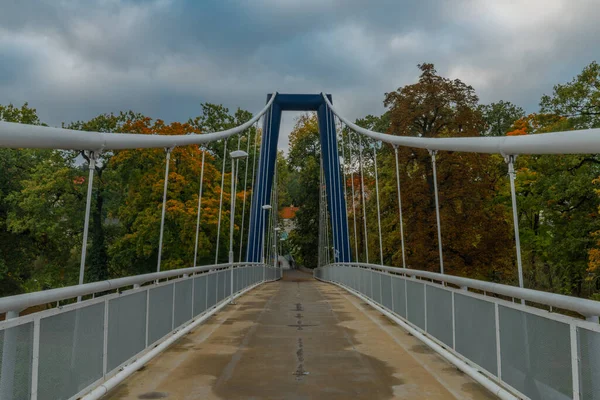 秋色早晨雨夜过后 波希米亚科林镇中部的拉贝河和桥 — 图库照片