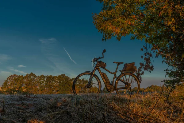 Ruta Bicicleta Con Árboles Otoño Color Salida Del Sol Fresca — Foto de Stock