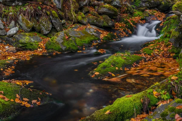 Sumny Bach Herbst Nassen Morgen Jeseniky Gebirge — Stockfoto