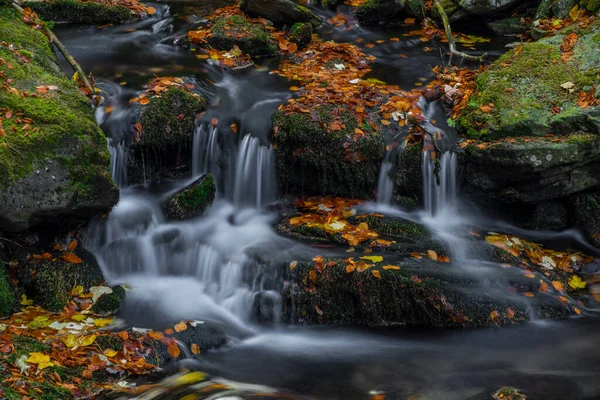 Sumny Creek Autumn Wet Morning Jeseniky Mountains — Stock Photo, Image