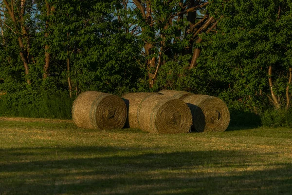 Landschap Bij Roprachtice Dorp Lente Zomer Groene Avond — Stockfoto