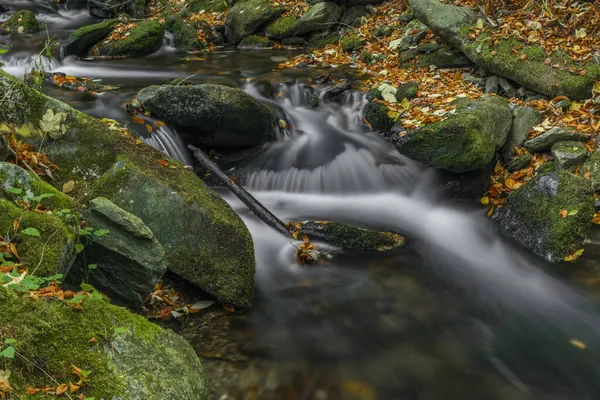 Самни Белый Ручей Осенью Мокрым Утром Есениках — стоковое фото