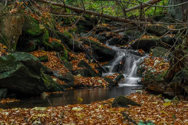 Sumny Und Bily Bach Herbst Nassen Morgen Jeseniky Gebirge — Stockfoto