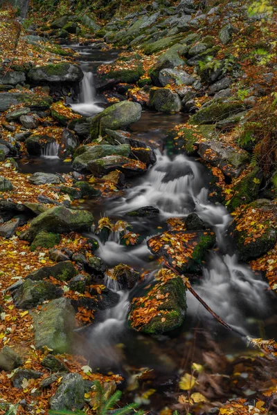 Sumny Bily Creek Podzimním Vlhkém Ránu Jeseníkách — Stock fotografie