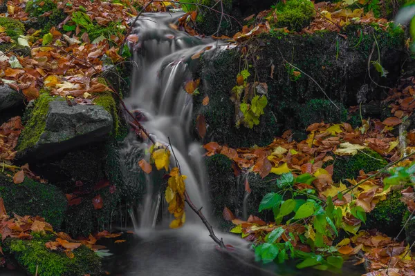 Sumny Bach Herbst Nassen Morgen Jeseniky Gebirge — Stockfoto