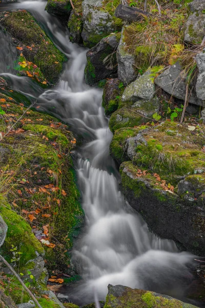 Sumný Potok Podzimním Vlhkém Ránu Jeseníkách — Stock fotografie