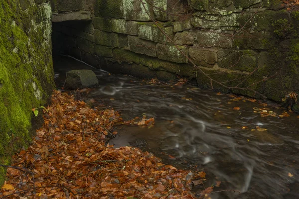 Hranicni Teich Luzicke Berge Herbst Farbe Nassen Regnerischen Morgen — Stockfoto
