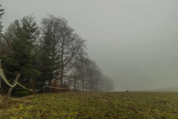 Weideland Der Nähe Des Dorfes Kytlice Luzicke Gebirge Mit Nebel — Stockfoto