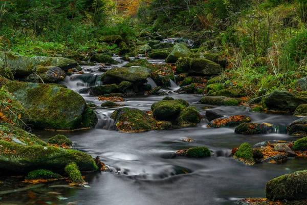 イェセニーキ山の秋の雨の日の朝のサムニーとビリークリーク — ストック写真