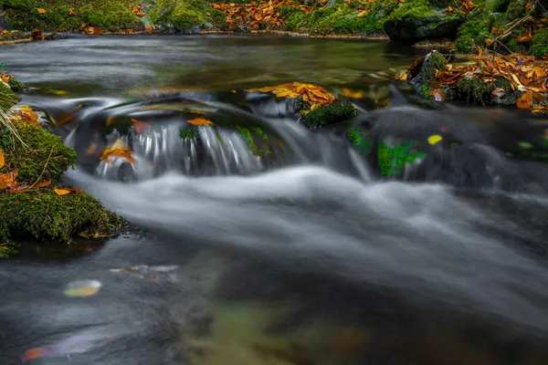 Sumny Och Bily Creek Hösten Blöt Morgon Jeseniky Bergen — Stockfoto