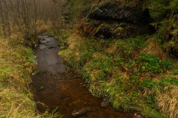 Fiume Kamenice Autunno Buio Mattina Nebbiosa Luzice Montagne Nel Nord — Foto Stock