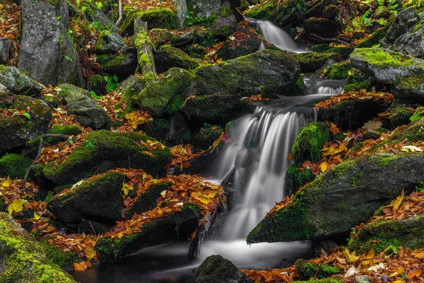 Sumny Bily Creek Podzimním Vlhkém Ránu Jeseníkách — Stock fotografie