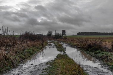 Soğuk kış yağmurlu akşamlarda Plana 'dan Nahy Ujezdec köyüne karanlık yol