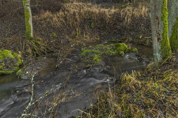 Slatinny Bach Wald Kalten Winterabend Der Nähe Von Plana Westböhmischen — Stockfoto