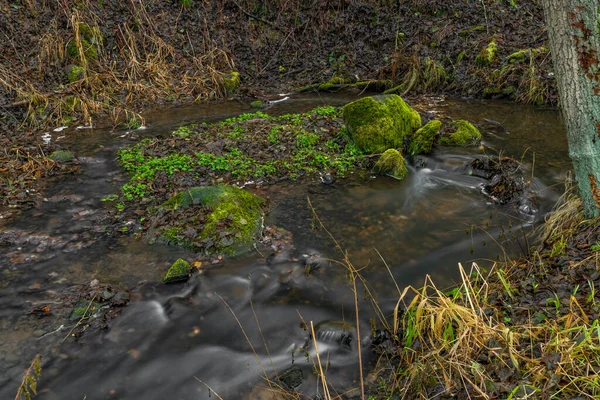 Slatinny Patak Erdőben Hideg Téli Este Közelében Plana Nyugat Csehországi — Stock Fotó