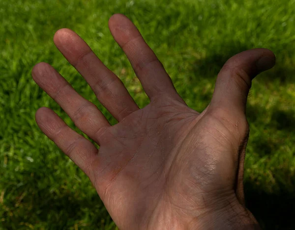 Mão Masculina Com Fundo Grama Verde Verão Ensolarado Dia Fresco — Fotografia de Stock