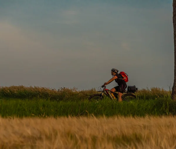 夕暮れ時の紅葉の路地を自転車で走る夏の夜 — ストック写真