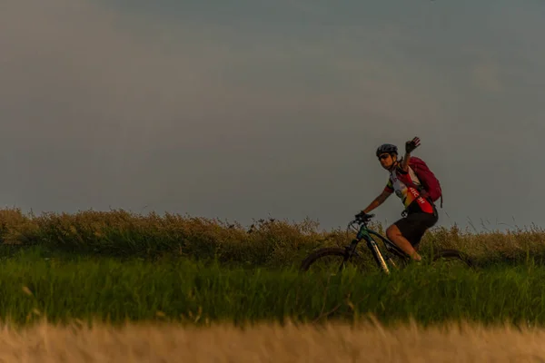 Ποδήλατο Σοκάκι Δρόμο Φύλλα Δέντρα Στο Ηλιοβασίλεμα Καλοκαίρι Βράδυ Χρώμα — Φωτογραφία Αρχείου