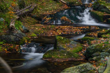 Sumny deresi sonbahar yağmurlu sabahında Jeseniky dağlarında