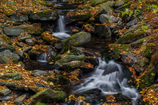 イェセニーキ山の秋のぬれた朝の日当たりの良いクリーク — ストック写真
