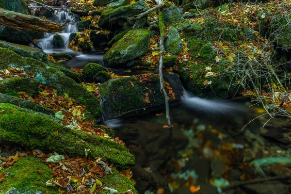 Sumny Bach Herbst Nassen Morgen Jeseniky Gebirge — Stockfoto
