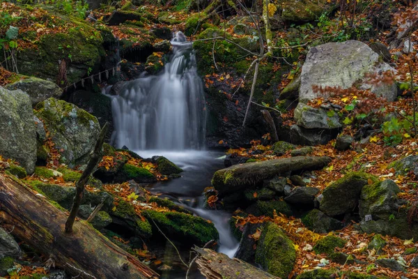 Sumny deresi sonbahar yağmurlu sabahında Jeseniky dağlarında