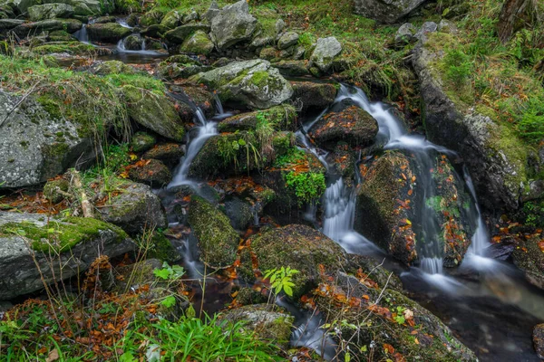 Sumný Potok Podzimním Vlhkém Ránu Jeseníkách — Stock fotografie