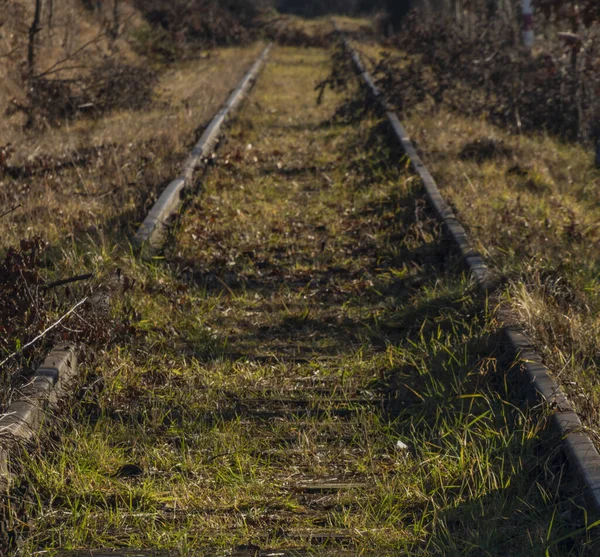 Old Industrial Railroad Siding Kajov Vetrni South Bohemia — 图库照片