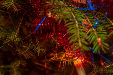 Kırmızı ve mavi renkli Noel ladin ağacının ayrıntıları ve karton kutularda hediyeler