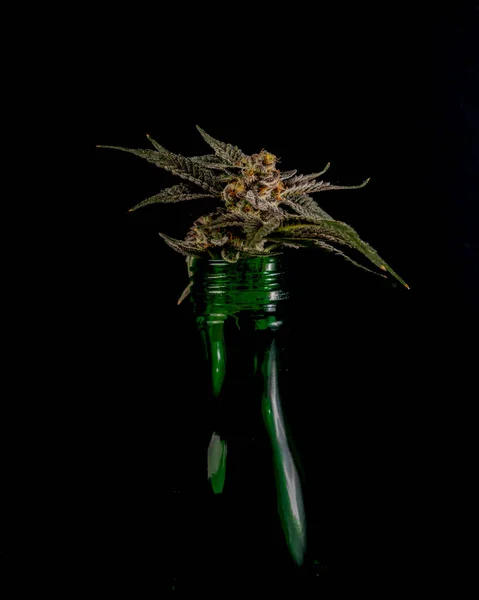 Galletas Francesas Variedad Flores Marihuana Con Fondo Negro Botella — Foto de Stock