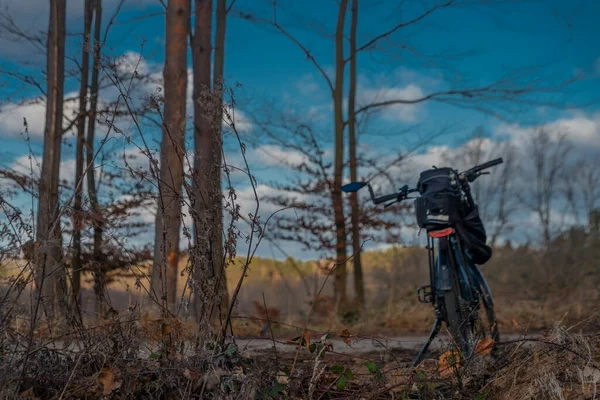 Электрический Велосипед Зимнем Лесу Голубым Небом Солнечным Светом Южной Осетии — стоковое фото