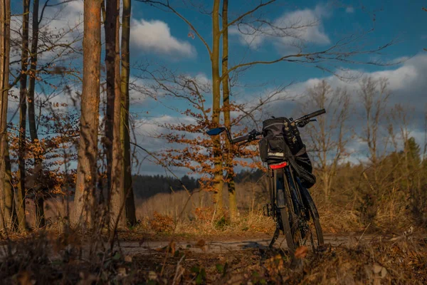 Ηλεκτρικό Ποδήλατο Στο Χειμερινό Δάσος Μπλε Ουρανό Και Ηλιόλουστη Λάμψη — Φωτογραφία Αρχείου