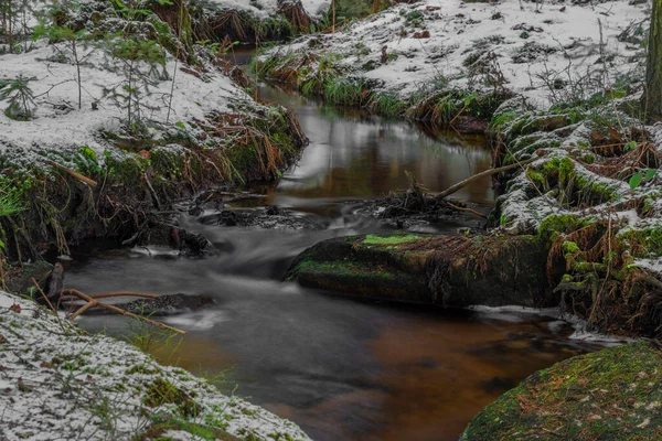 Kleur Kreken Buurt Van Javorice Heuvel Winter Besneeuwd Bos — Stockfoto