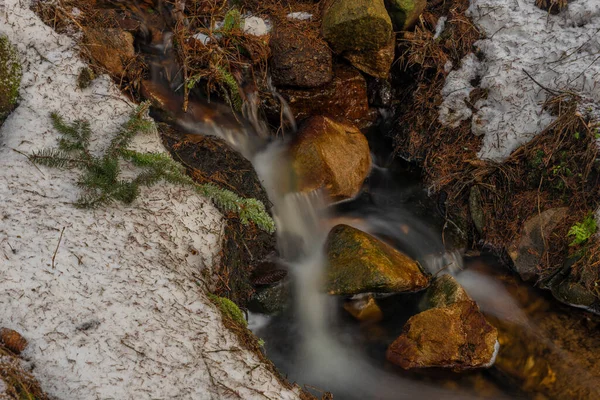 Cor Riachos Perto Javorice Colina Inverno Floresta Nevada — Fotografia de Stock