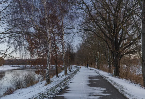 Caminho Asfalto Para Bicicletas Perto Cidade Ceske Budejovice Inverno Manhã — Fotografia de Stock
